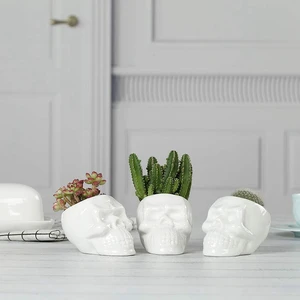 White Ceramic Skull Shaped Succulent Planter Pots Set Of 3, Cute Cactus Plant Pot Creative Pen Pencil Holder for Home Office Des