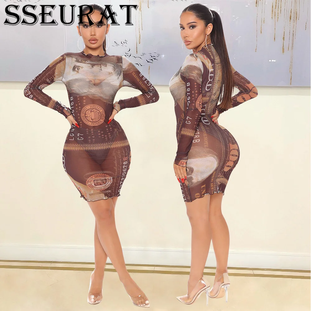 

SSEURAT Women Mini Dresses Print Mesh Full Sleeve O-neck Pullover Sheath Dress