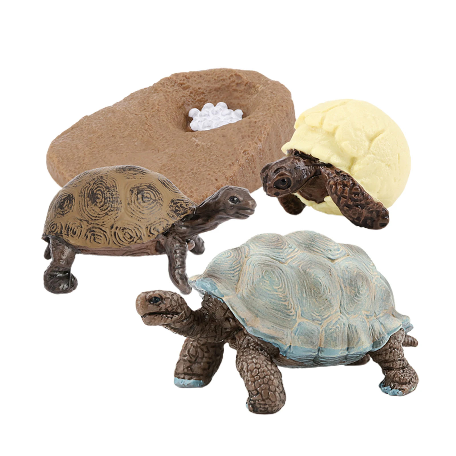 Modelo de ciclo de vida para tortuga marina, 4 etapas de crecimiento, educaci&oacute;n para ni&ntilde;os, juguetes cognitivos de Navidad-2