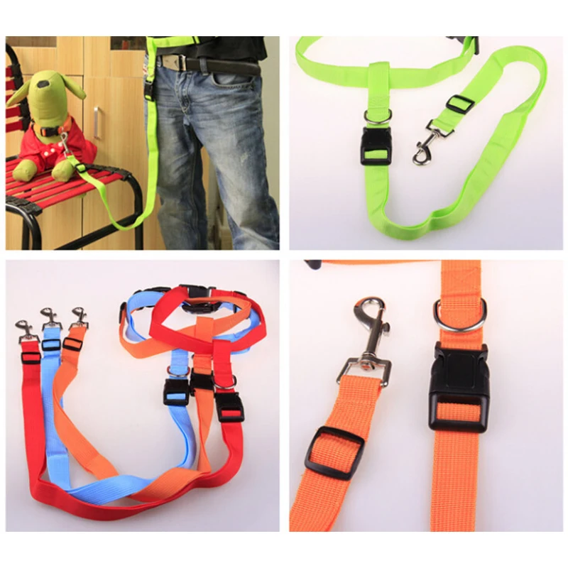 Поводок для собак нейлоновый спортивный поводок прогулок и бега цвет зеленый