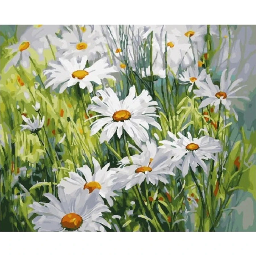 

tapb Colorful Daisy Flower DIY Painting By Numbers Adults For Handpainted On Canvas Oil Pictures By Numbers Home Wall Art Decor