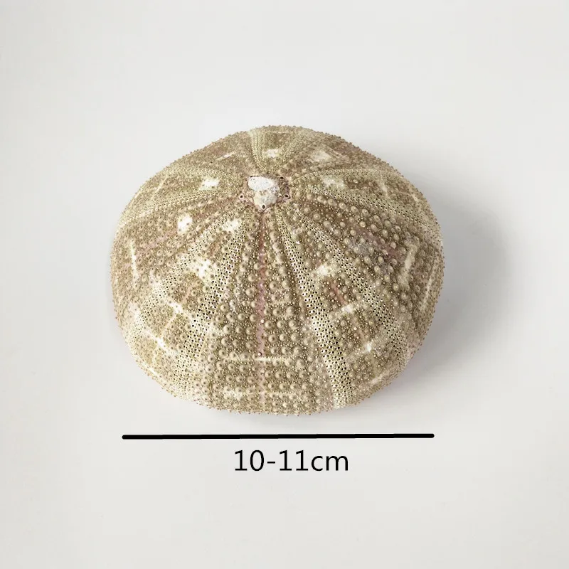 4 шт. вечерние украшения для дома из натуральных морских ракушек под