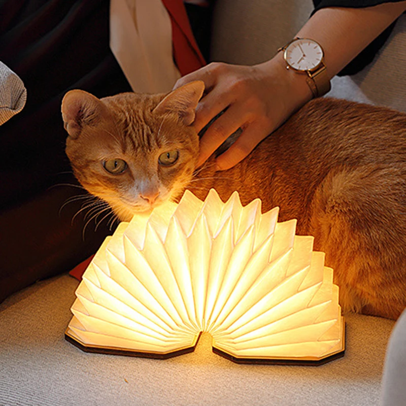 

Valentine's Day Gift Accordion Lamp Retractable Lamp Bluetooth Audio Portable LED Lamp Bedside USB Night Lamp TLSM1