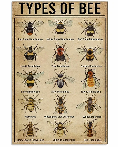 

15 Types Of Bee Knowlegde Multisize Wall Decor Art Print Poster For Bee Lover Metal Tin Sign