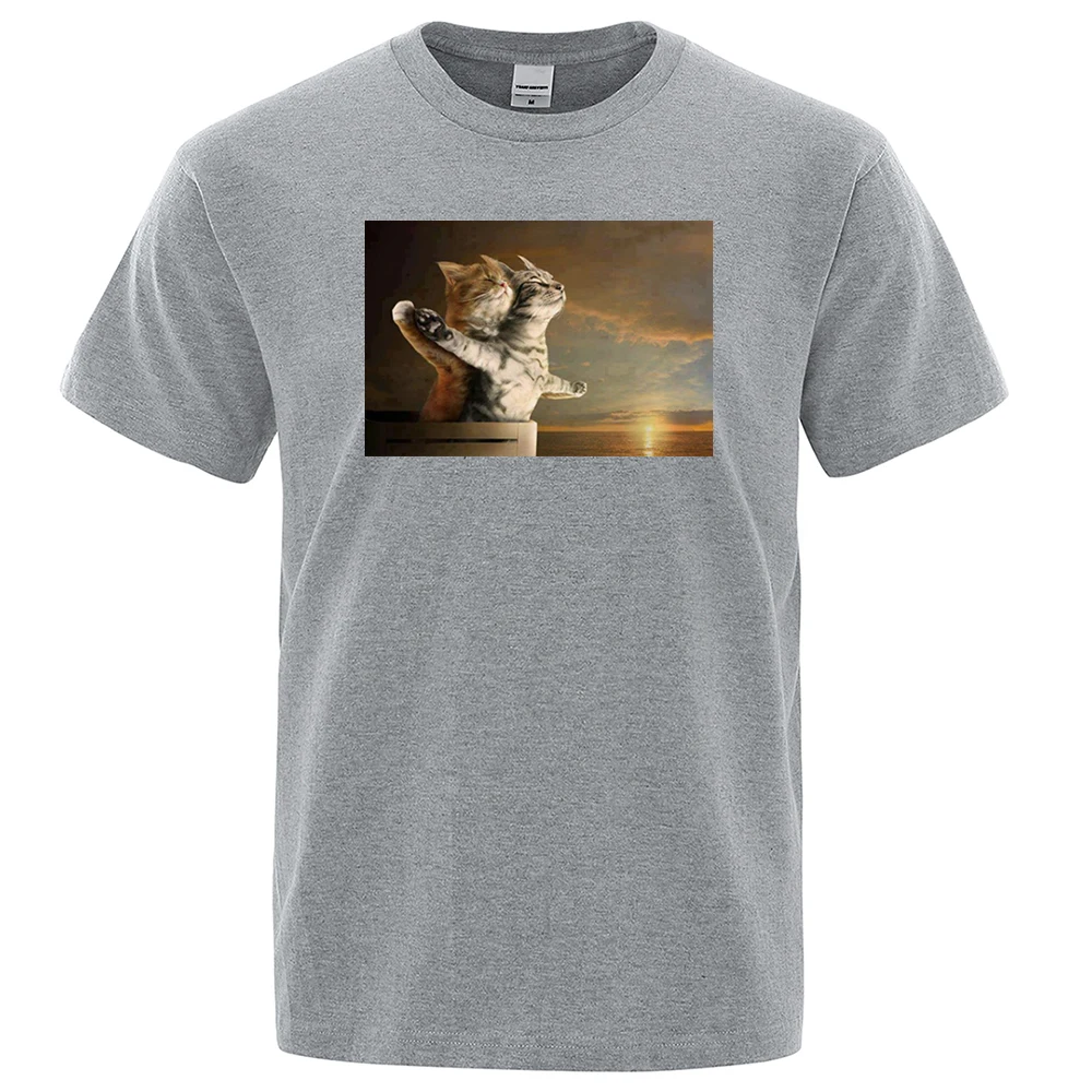 

Забавная футболка с изображением кошек Титаника, Мужская Летняя Повседневная футболка, одежда с короткими рукавами в стиле Харадзюку, Лиде...