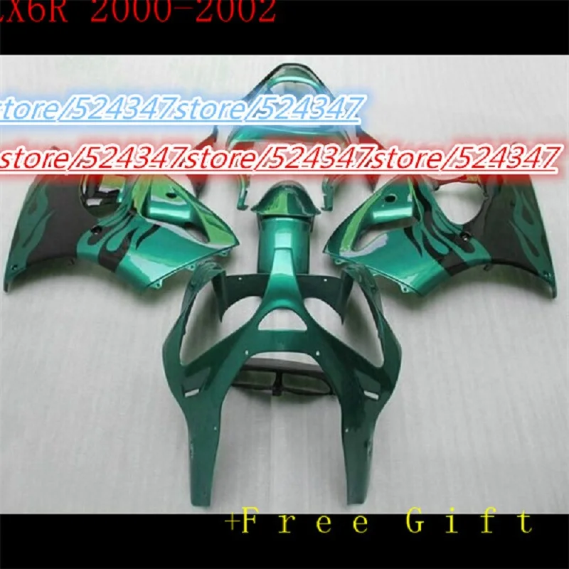 

Hot sales fairing kit fits for ZX6R 00-02 ZX 6R 2000-2002 blue with black flames injection fairing