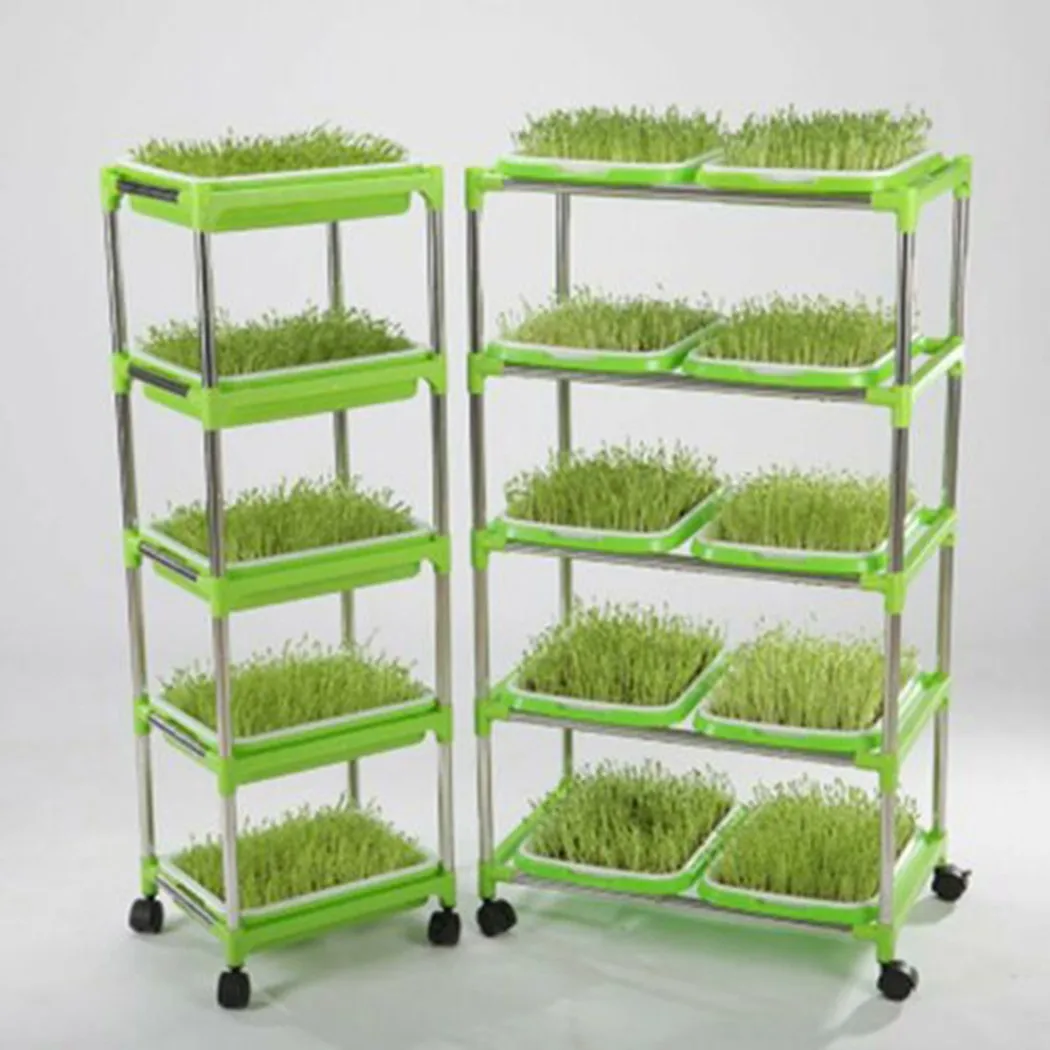 

Accessory Planting Trays Big Capacity Germination Grass Grow Soil-Free