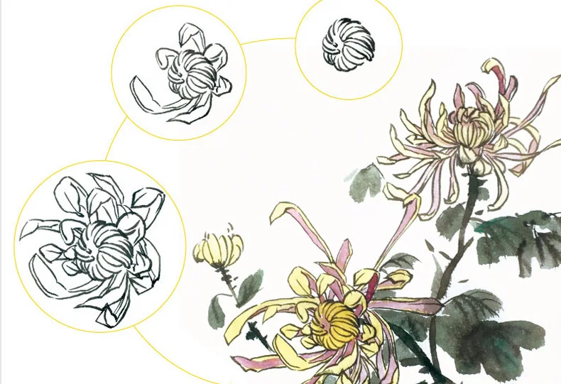 

128 pages Traditional Chinese Painting Book For Plum blossoms,orchid,bamboo and chrysanthemum Brush Painting libros 28.5X21cm