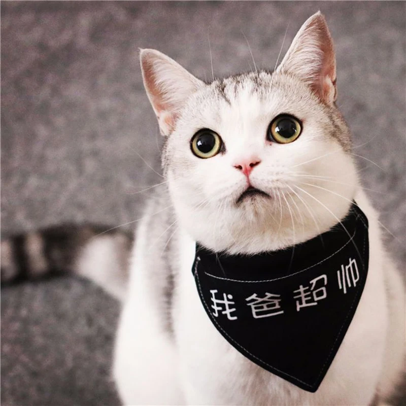 

Pet supplies bells collar clothes cats and dogs handmade bows bells hanging clothes cat accessories 5 pieces