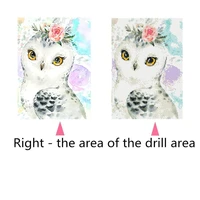 owl square decorative painting full diamond home decoration diy diamond painting kits animal for adults kids