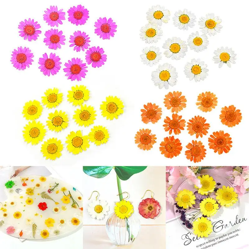 1bag Pressed Dried Conyza Canadensis Filler Flower For Epoxy Resin Jewelry Making Postcard Frame Phone Case Craft DIY