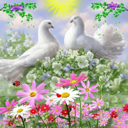

JMINE Div 5D Dove Flower Full Diamond Painting cross stitch kits art High Quality Animal 3D paint by diamonds