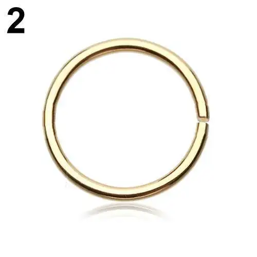 

Stainless Steel Seamless Segment Rings Nose Hoops Ear Piercing Tragus Nose Rings Ear Cartiliage Tragus Sexy Body Jewelry