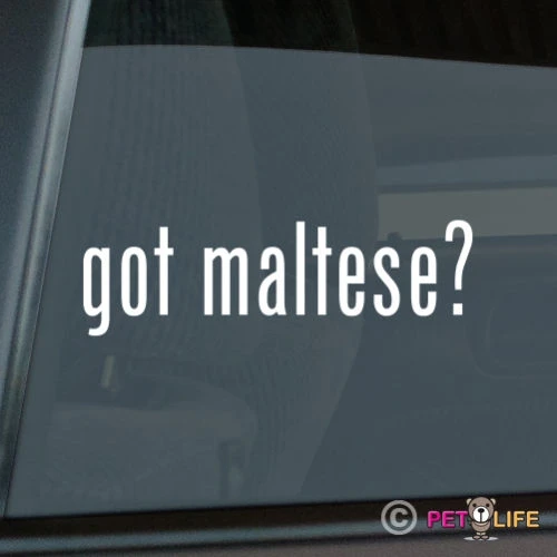 

Виниловая наклейка с надписью Got Maltese