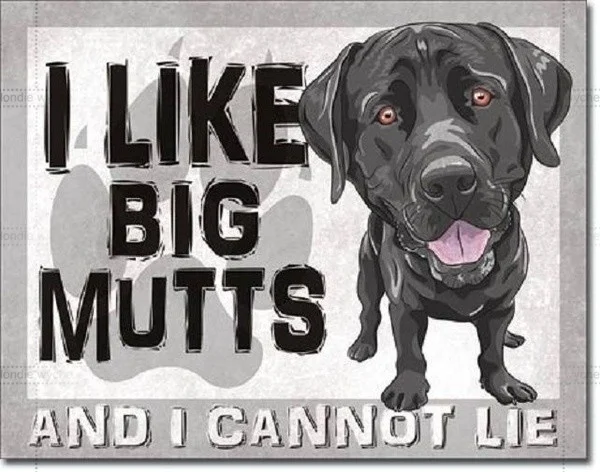 

I Like Big Mutts I Cannot Lie Dogs Funny Humor Wall Bar Pub Decor Metal Tin Sign