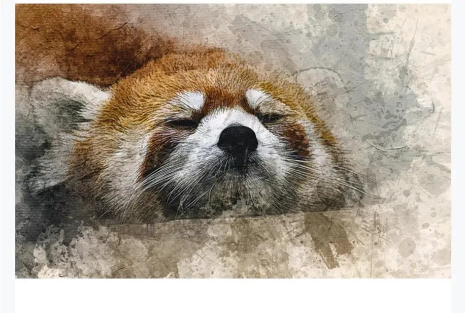 Большие индивидуальные 3D фото Настенные обои животные коричневый енот оранжевый