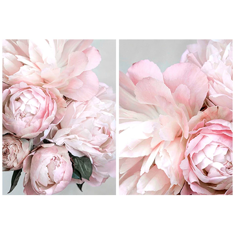 5D Diy Алмазная Paintig цветение розовые пионы набор из 2 шт Настенная художественная
