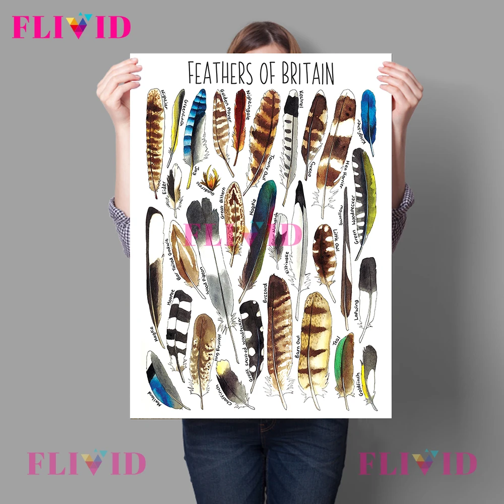 

Fruit Shell Leaves Seaweed of Britain Nordic Poster Wall Pictures For Living Room Wall Art Canvas Painting Home Decor Unframed