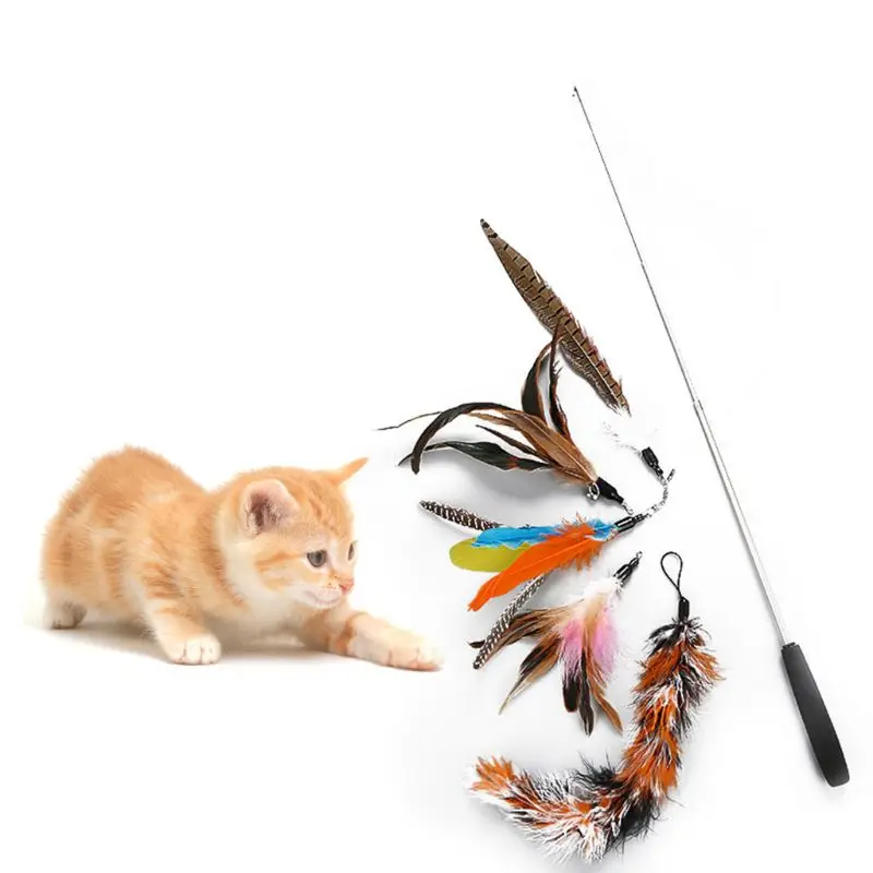 

6 Pcs/set Retractable Funny Cat Stick Pet Supplies DIY Replacement Head Pets Teaser Toys Set Kitten Dog Exercise Training 85LA