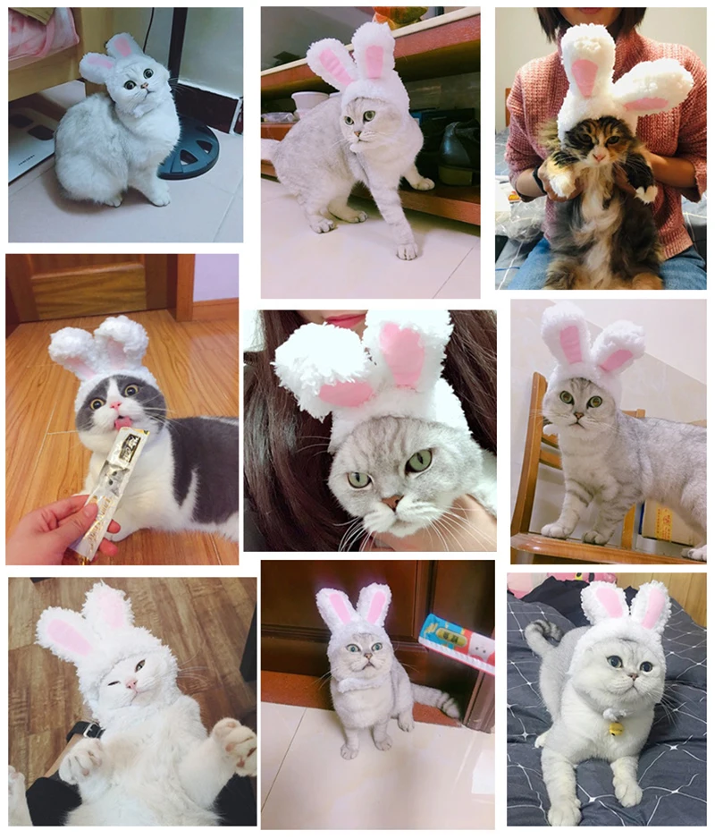 Cute Cat Hat Rabbit Ear Banana Animal Shaped Headgear Kitten Puppy Chihuahua Dogs Hairwear Pet Costume Cosplay Photo Props Hats |