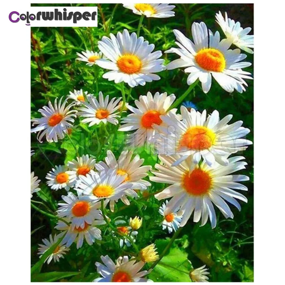 Алмазная живопись Z934 полноразмерная/круглая вышивка ромашки маленькие
