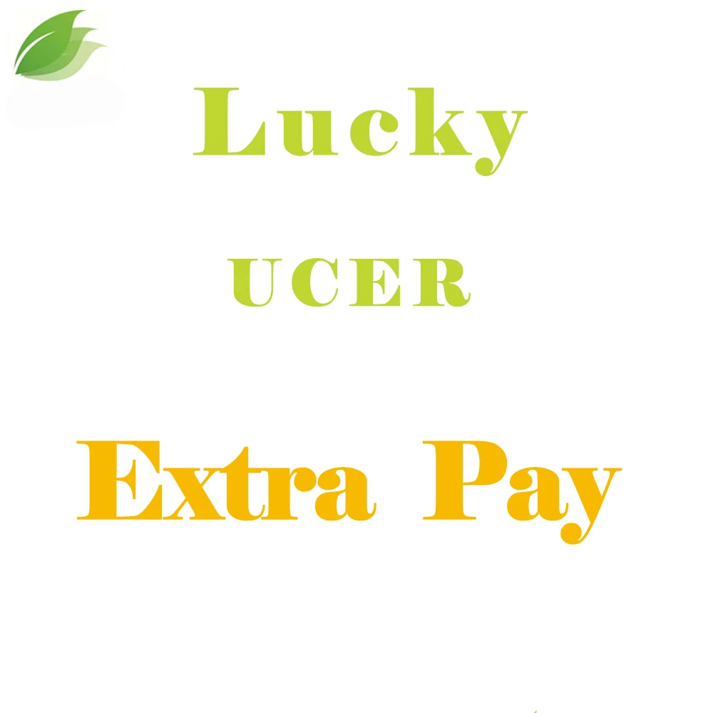 

Payment Link for ucer adding items extra price
