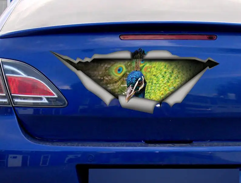 

2021 Peacock car decal, funny car sticker, bird decal, Peacock sticker