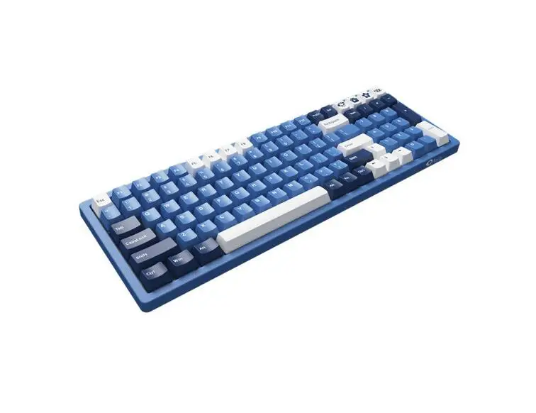 AKKO 3096 DS Ocean Star mechanical keyboard wired 100 key TTC switch desktop laptop keyboard