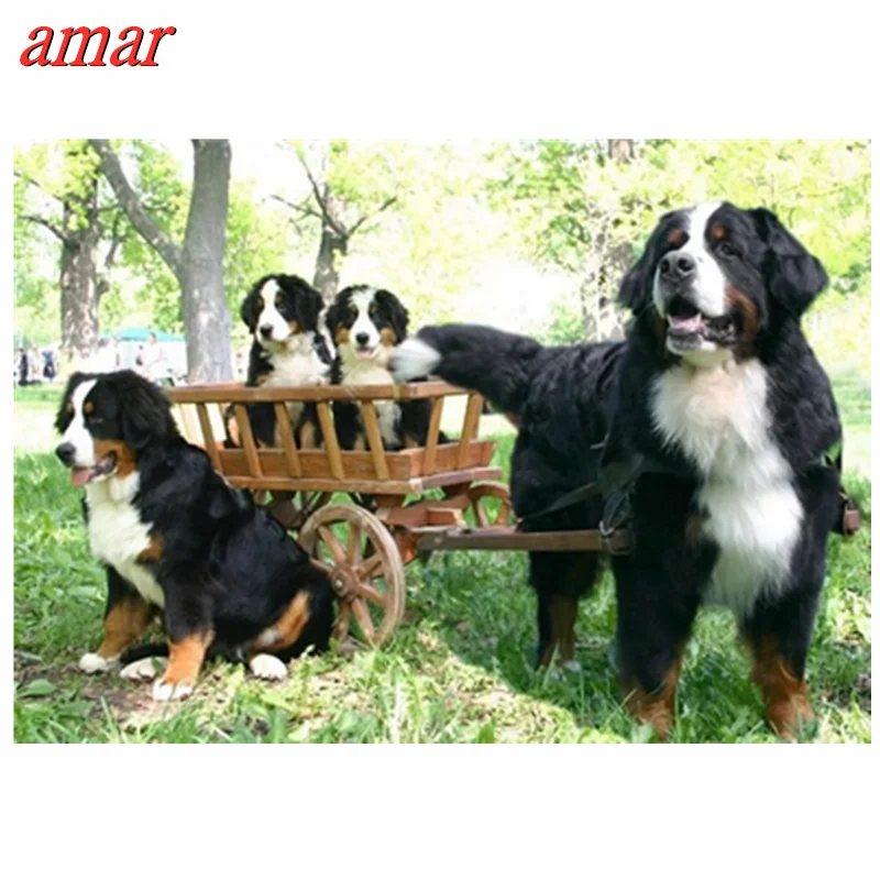 Алмазная живопись Вышивка щенок Бернская Гора собака хрустальные бусины 5d