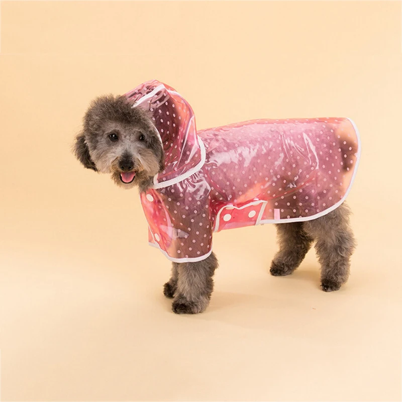 Новинка Милый узор в горошек дизайн Pet зонт от солнца одежда розового и голубого