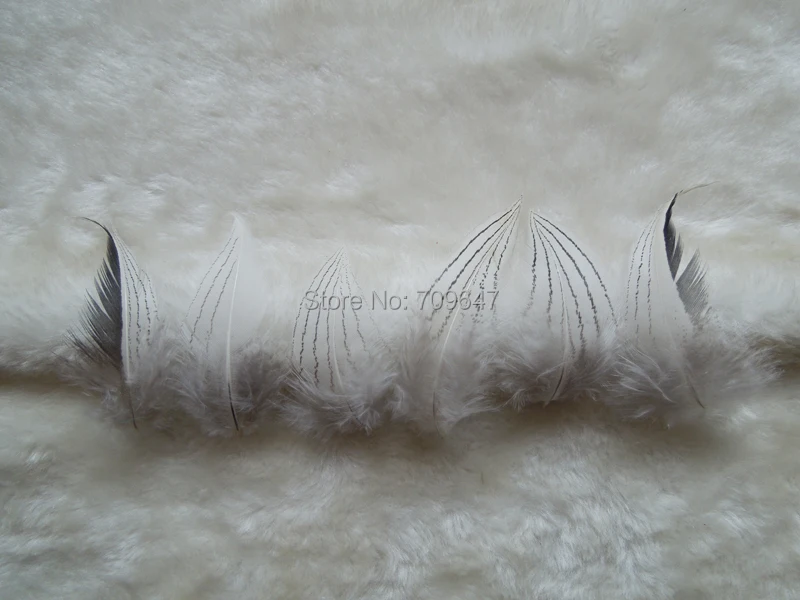 

200Pcs/Lot! 5-9cm Pheasant Feathers,Natural Black&white Silver Pheasant Plumage Feathers,Loose Fashion Feathers for Accessories