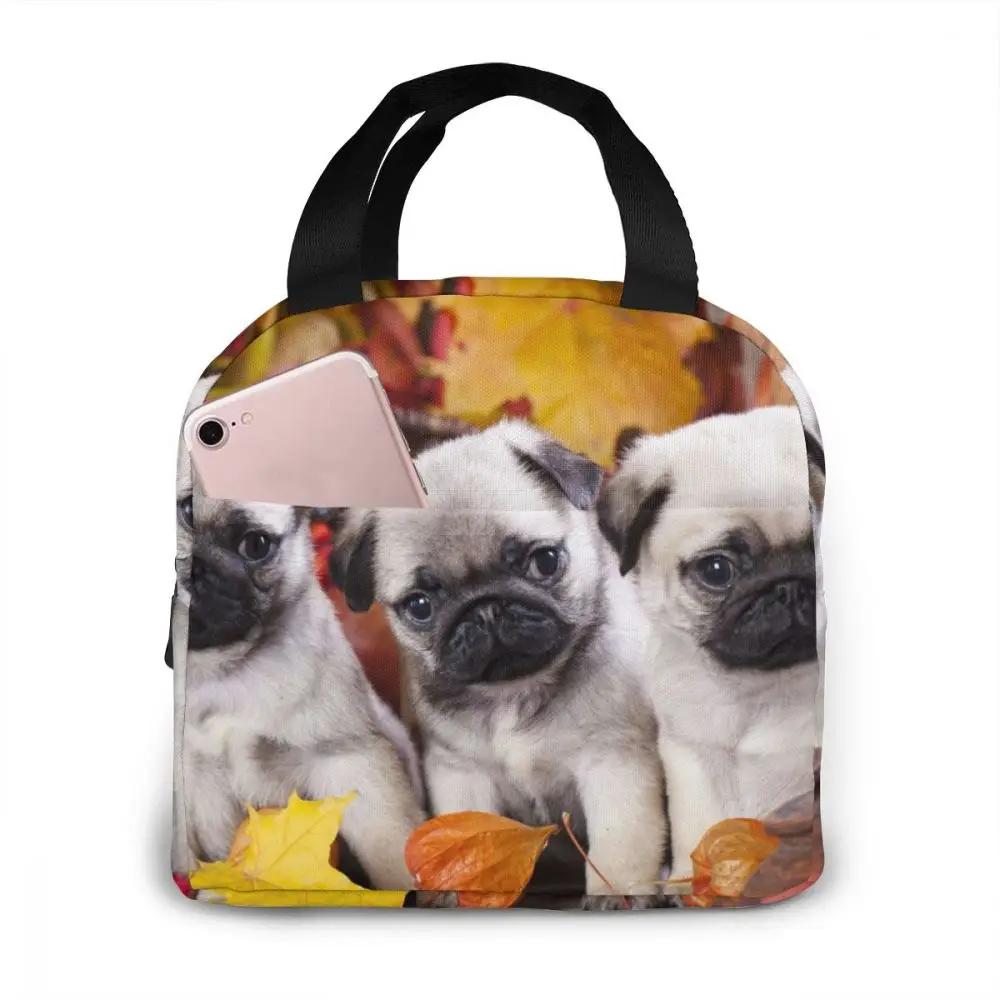 

Pug Puppies In The Autumn Cooler Bag Portable Zipper Thermal Lunch Bag Convenient Lunch Box Tote Food Bag