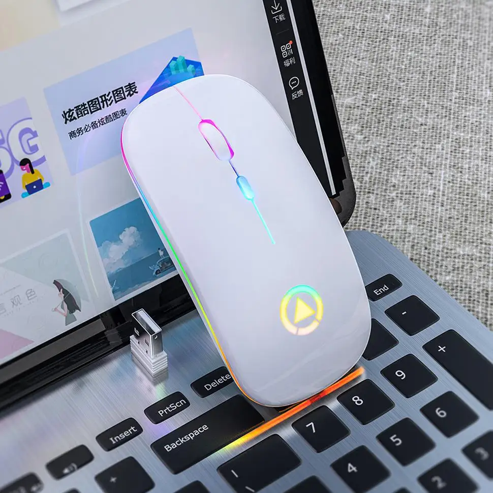 

HobbyLane Ergonomic 2.4GHz Wireless Mouse Rechargeable Silent LED Backlit Portable Cute Mini Mouse Works for PC Computer