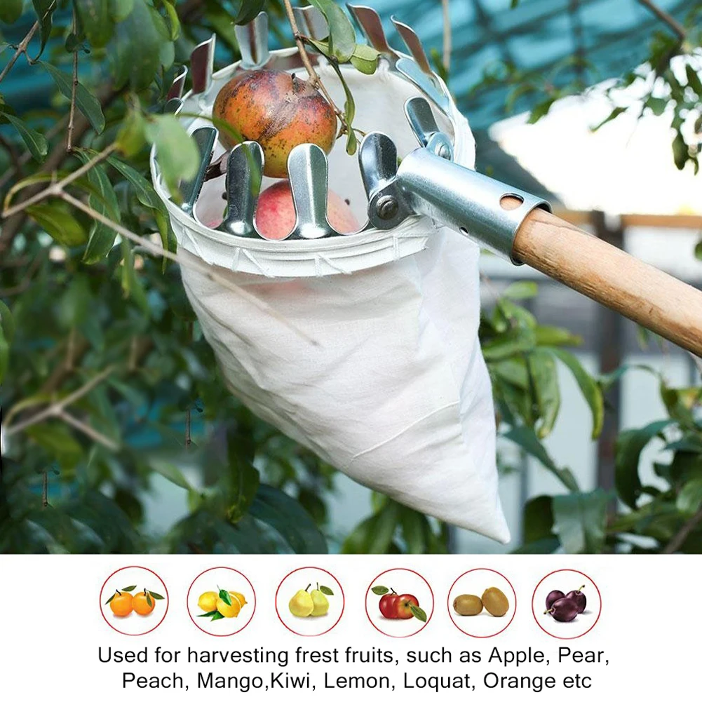 

Fruit Picker Head Basket Portable Fruits Catcher For Harvest Picking Citrus Pear Collector Catcher Fruit Picking Garden Tool
