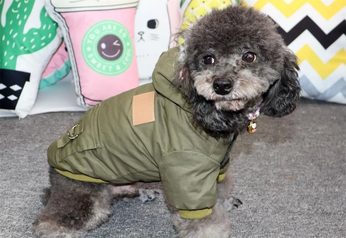 

New Autumn Winter Dog Clothes Pet Coat Jacket Fluffy Collar Work Clothes Mountaineering Clothes Small Dog Warm Cotton Clothing