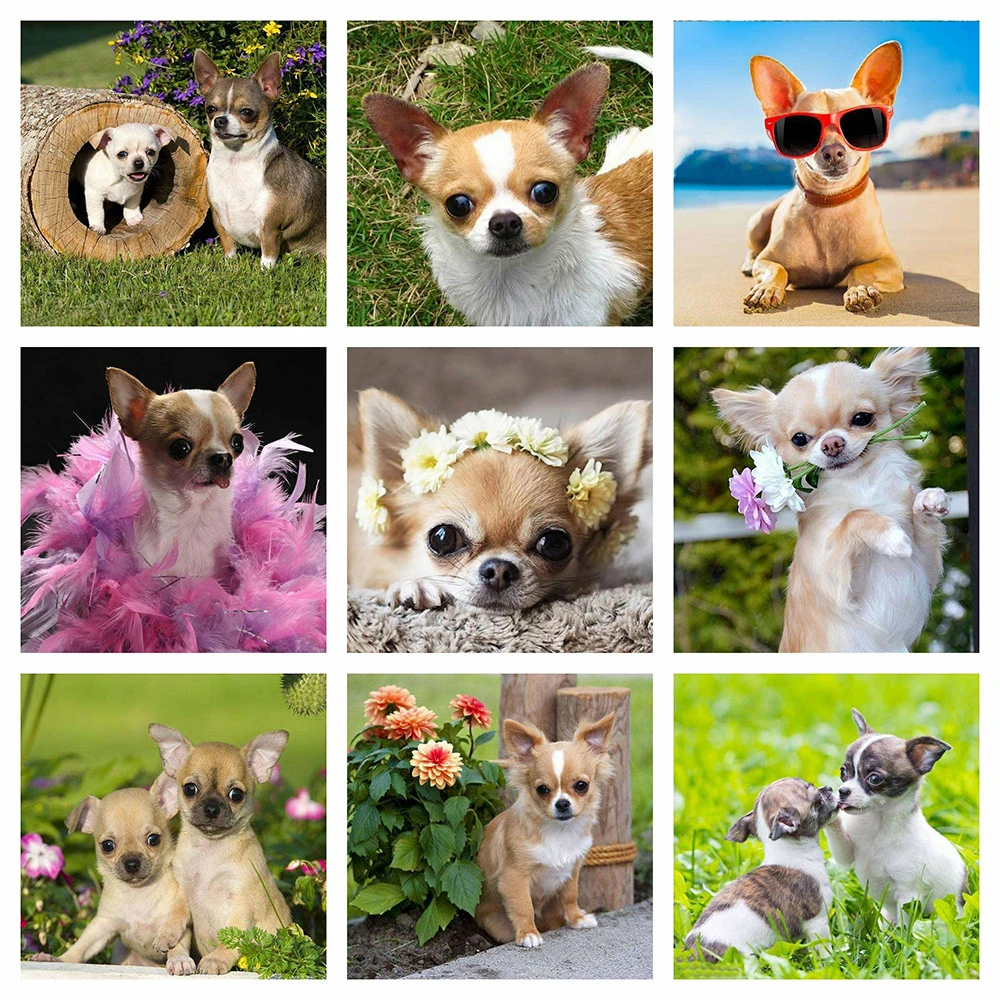 

Evershine Diamond Painting Full Square 5D DIY Dog Cross Stitch Kit Embroidery Animals Rhinestone Pictures Home Decoration