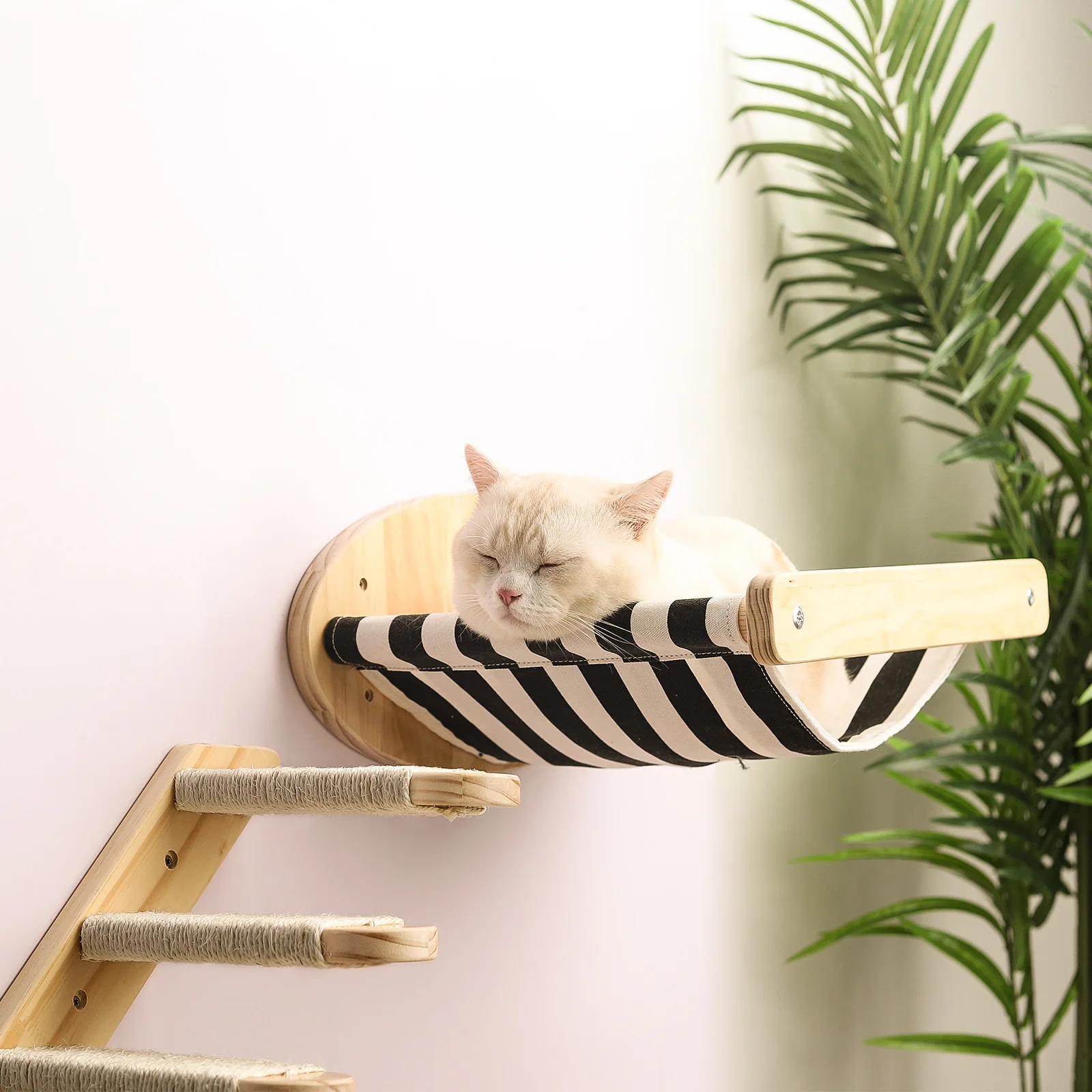 Pine Solid Wood Diy Cat Climbing Frame Wall Hanging Cat Scratching Post Hammock Staircase Room Space Capsule Cat Toy