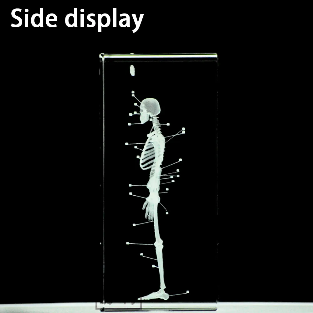 3D кристалл человеческий анатомический скелет модель для художественного эскиза
