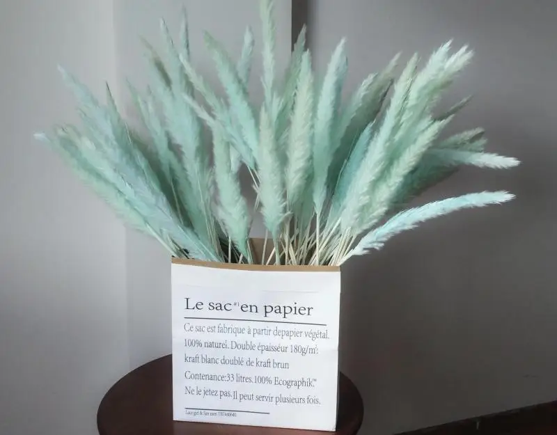 20 шт. Bulrush Натуральные Сушеные маленькие пампасы травяные фрагмиты растения