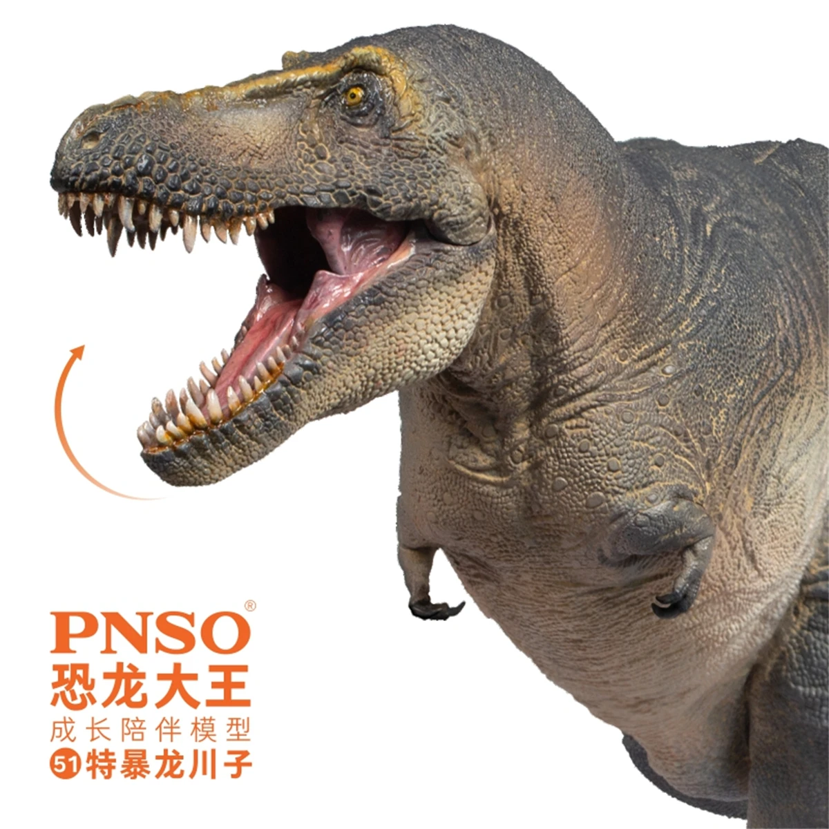&iexcl;En STOCK! PNSO Tarbosaurus Chuanzi modelo tiranosaurio, dinosaurio tiranosaurio, Colector de animales, decoraci&oacute;n, juguete para regalo para adultos-2