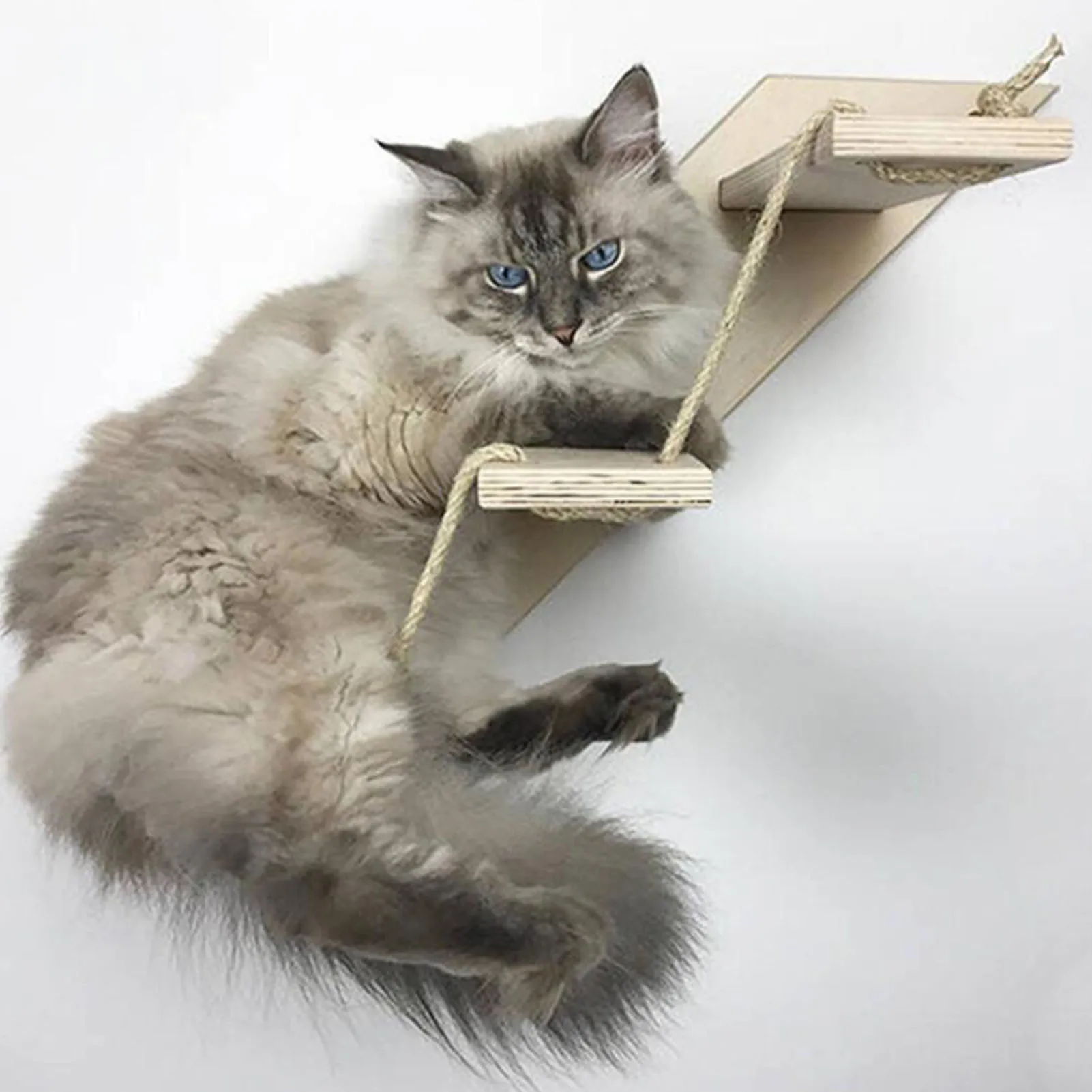 

Cat Climbing Shelf Wall Mounted Cat Ladder for Cats Perch Platform Supplies