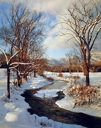 

Scenery Winter Stream with Snow Landscape Wall Decor Art Print Poster