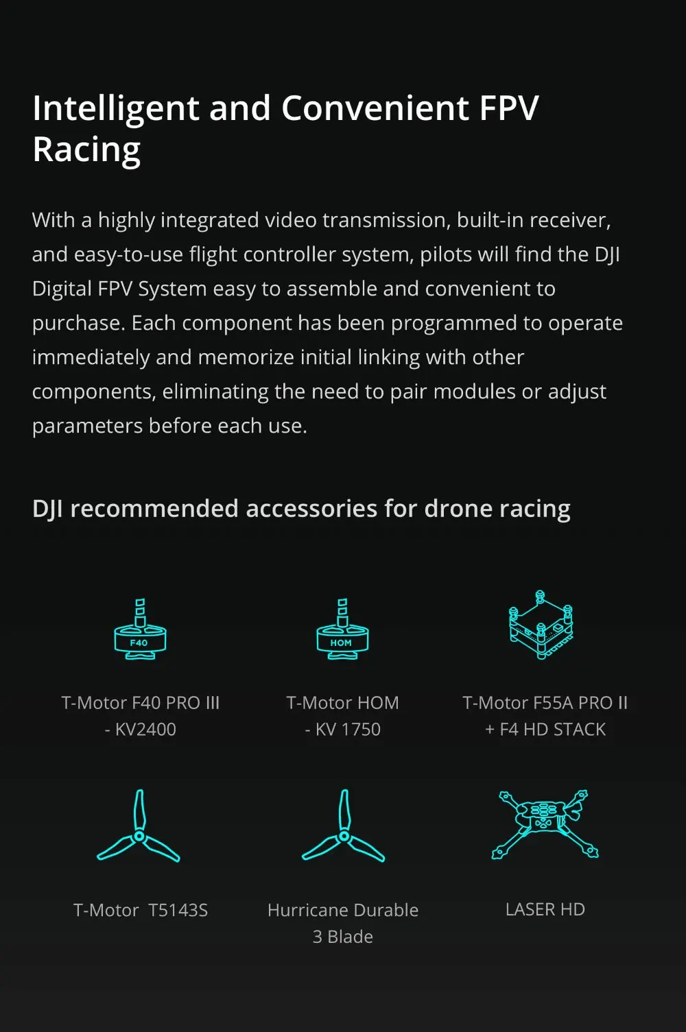DJI FPV Fly More Combo, модель 1 или 2
