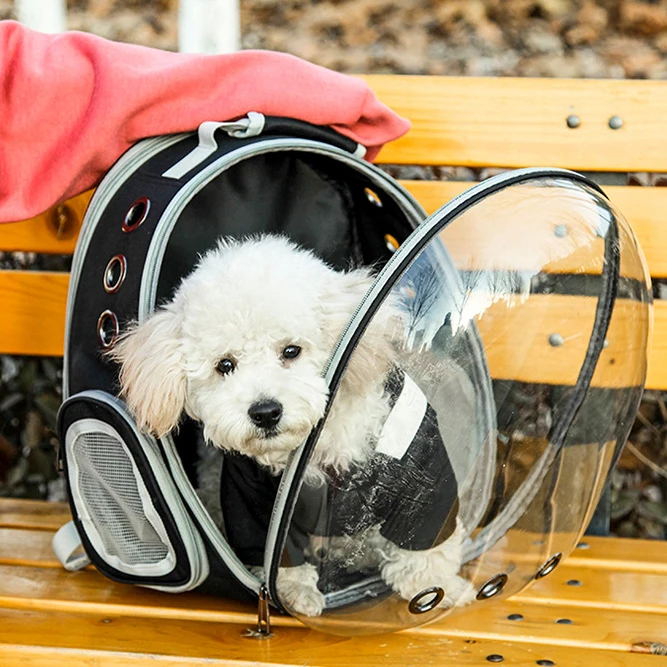 6 цветов дышащая маленькая сумка-переноска для домашних животных прозрачный