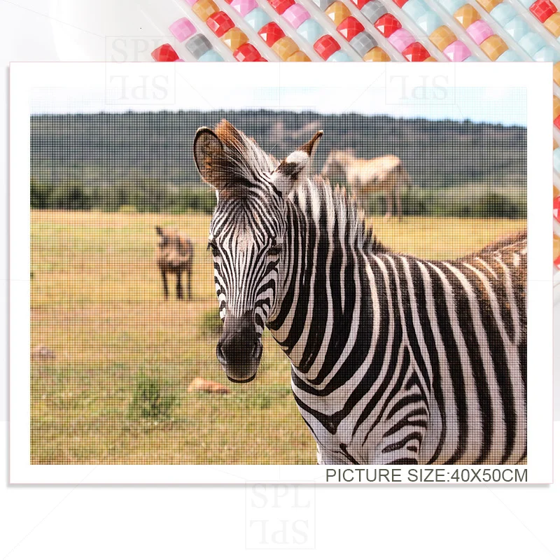 Зебра Осел 5D DIY квадратный круглый мозаичный наклейка Алмазная вышивка Травяная лужайка Клейкая картина Домашнее украшение Ручная работа Подарок.