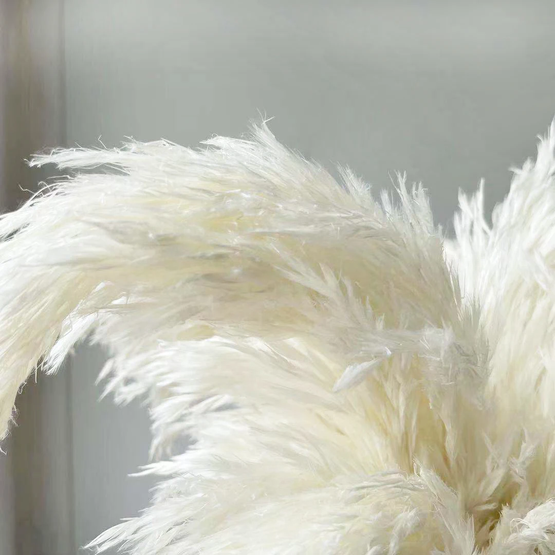 Пампасы белые для свадебного использования декоративные пампасы цветы букеты