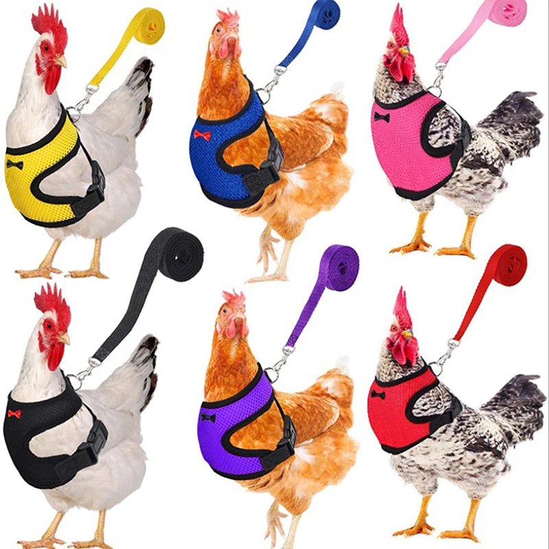 

Small Size Hen Pet Vest Fashion Adjustable Chicken Harness Leash Comfortable Breathable For Chicken Duck Goose Training Walking