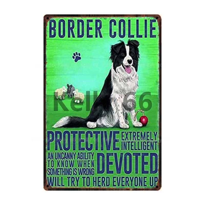 [ Kelly66 ] Pet Dog Rules Warning Better Life With Border Collie Metal Sign Home Decor Bar Wall Art Painting 20*30 CM Size DG-10 | Дом и сад