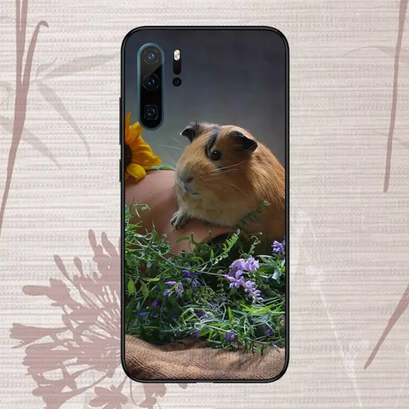 

Guinea Pig Phone Case For Huawei P20 P30 P40 lite Pro P Smart 2019 Mate 10 20 Lite Pro Nova 5t