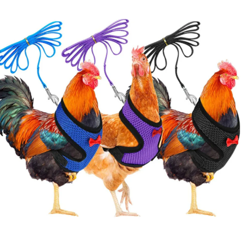 

Adjustable Chicken Breast Strap Traction Belt Elstic And Comfortable Breathable Pet Breast Strap